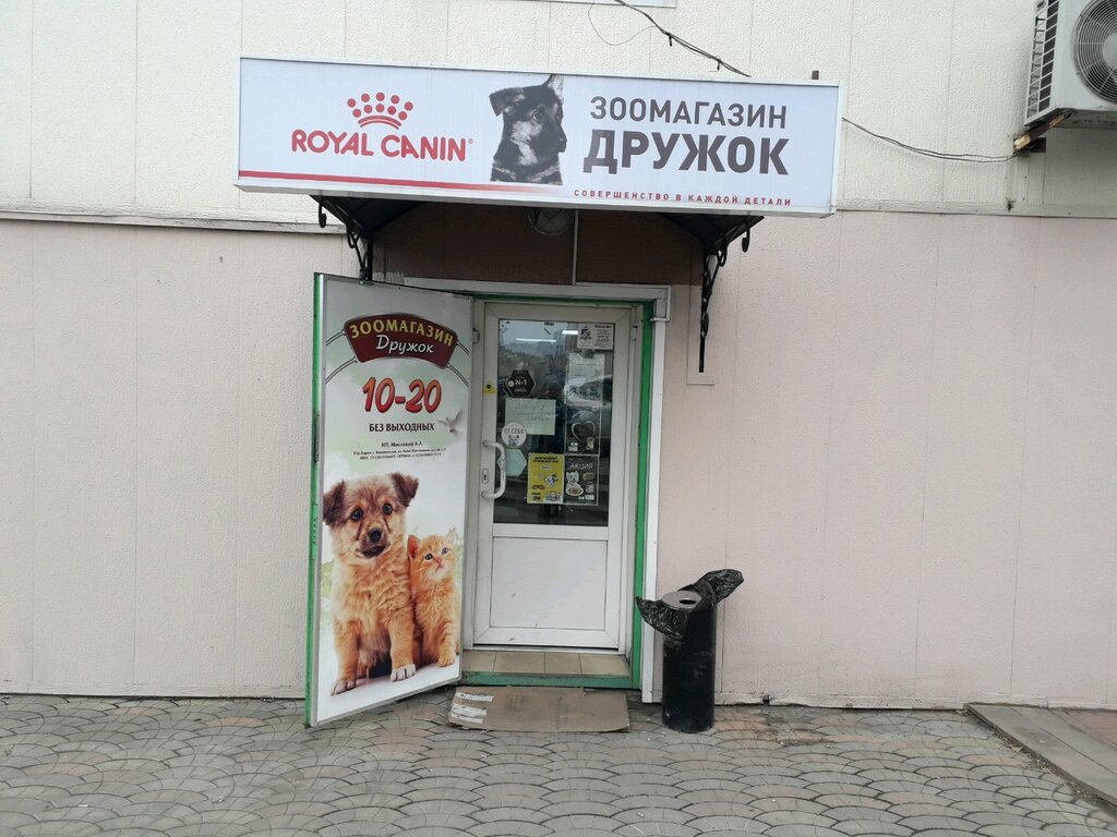 Дружок